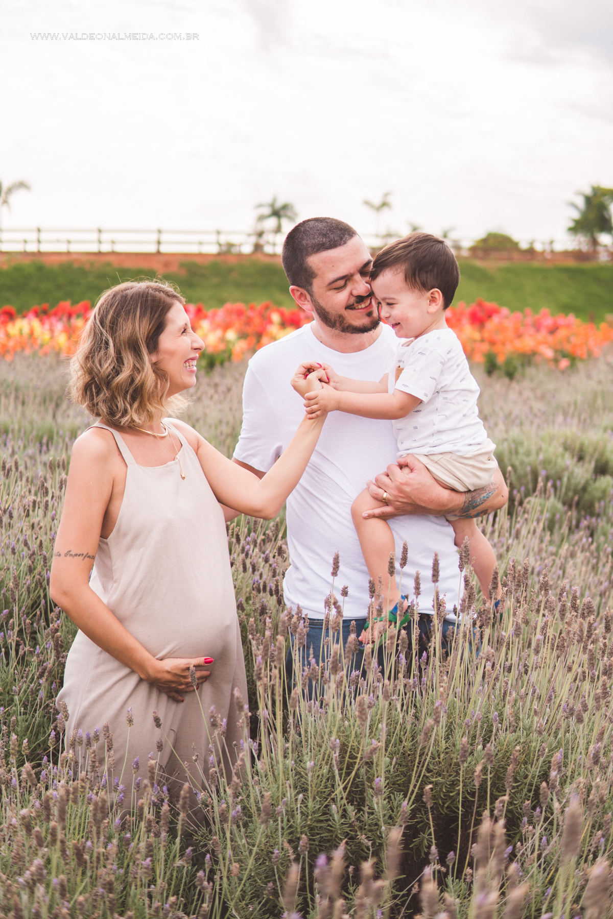 Ensaio de gestante em holambra super divertido com a família, incluindo o filho mais velho, nas plantações de flores