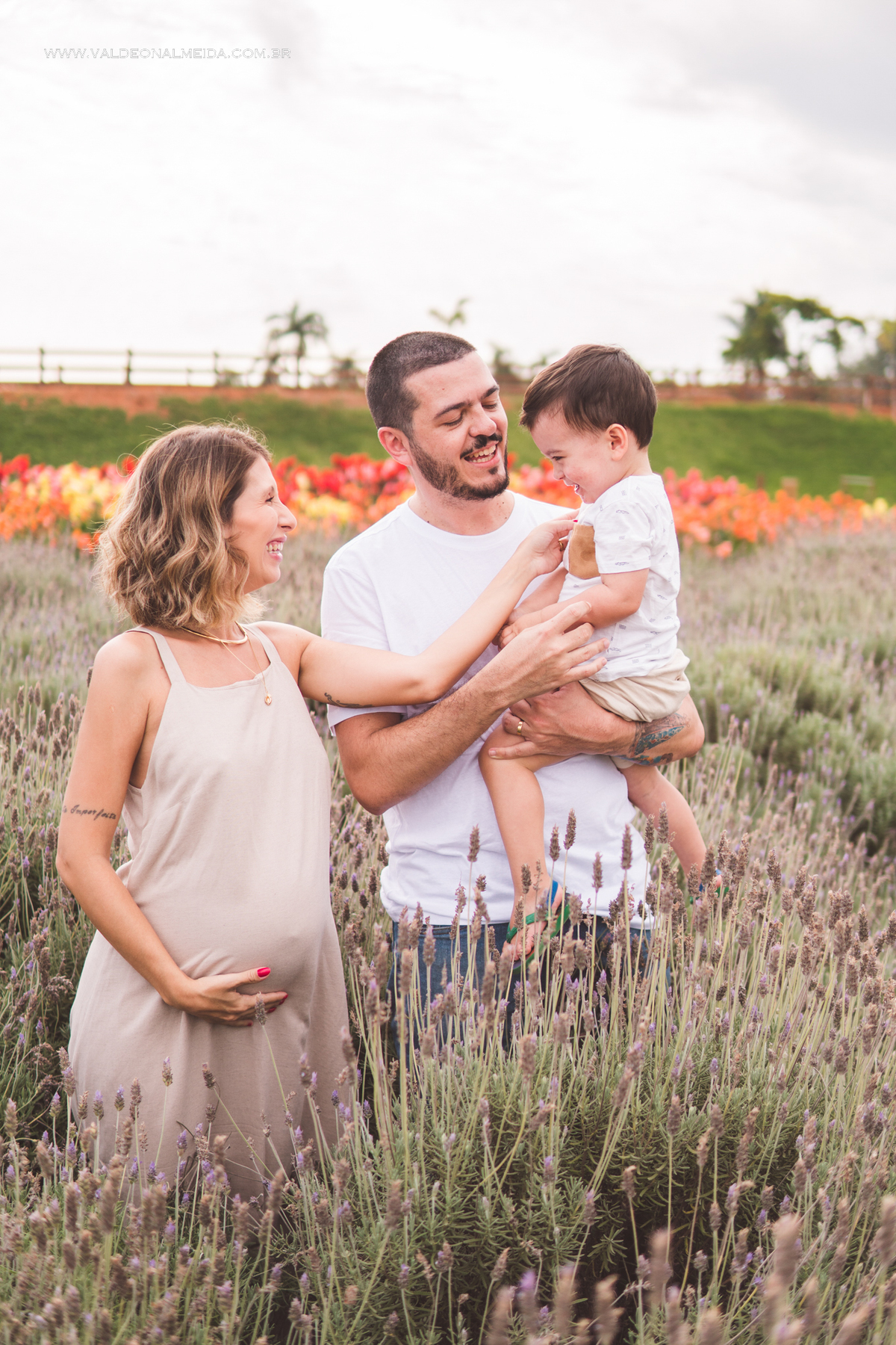 Ensaio de gestante em holambra super divertido com a família, incluindo o filho mais velho, nas plantações de flores