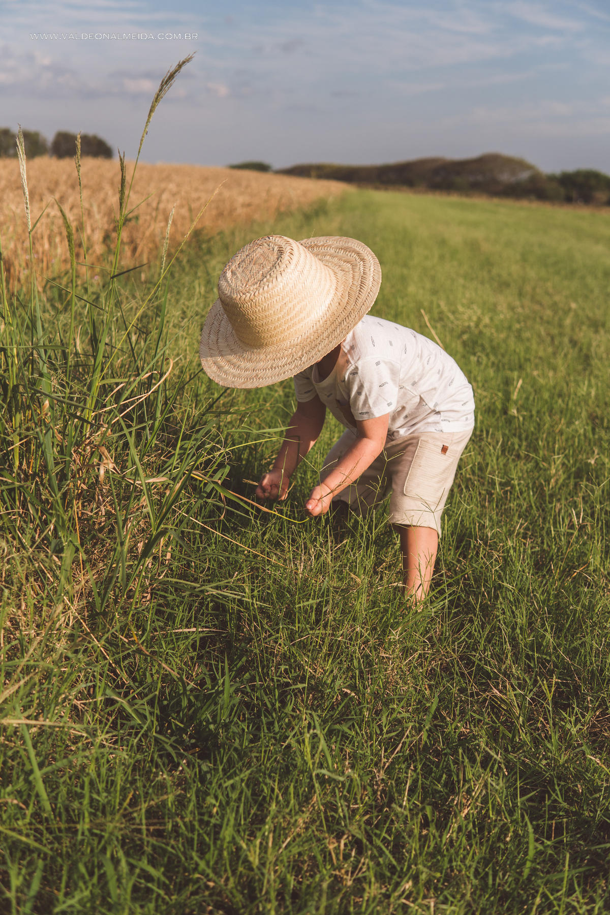 Ensaio de gestante em holambra super divertido com a família, incluindo o filho mais velho, nas plantações de flores