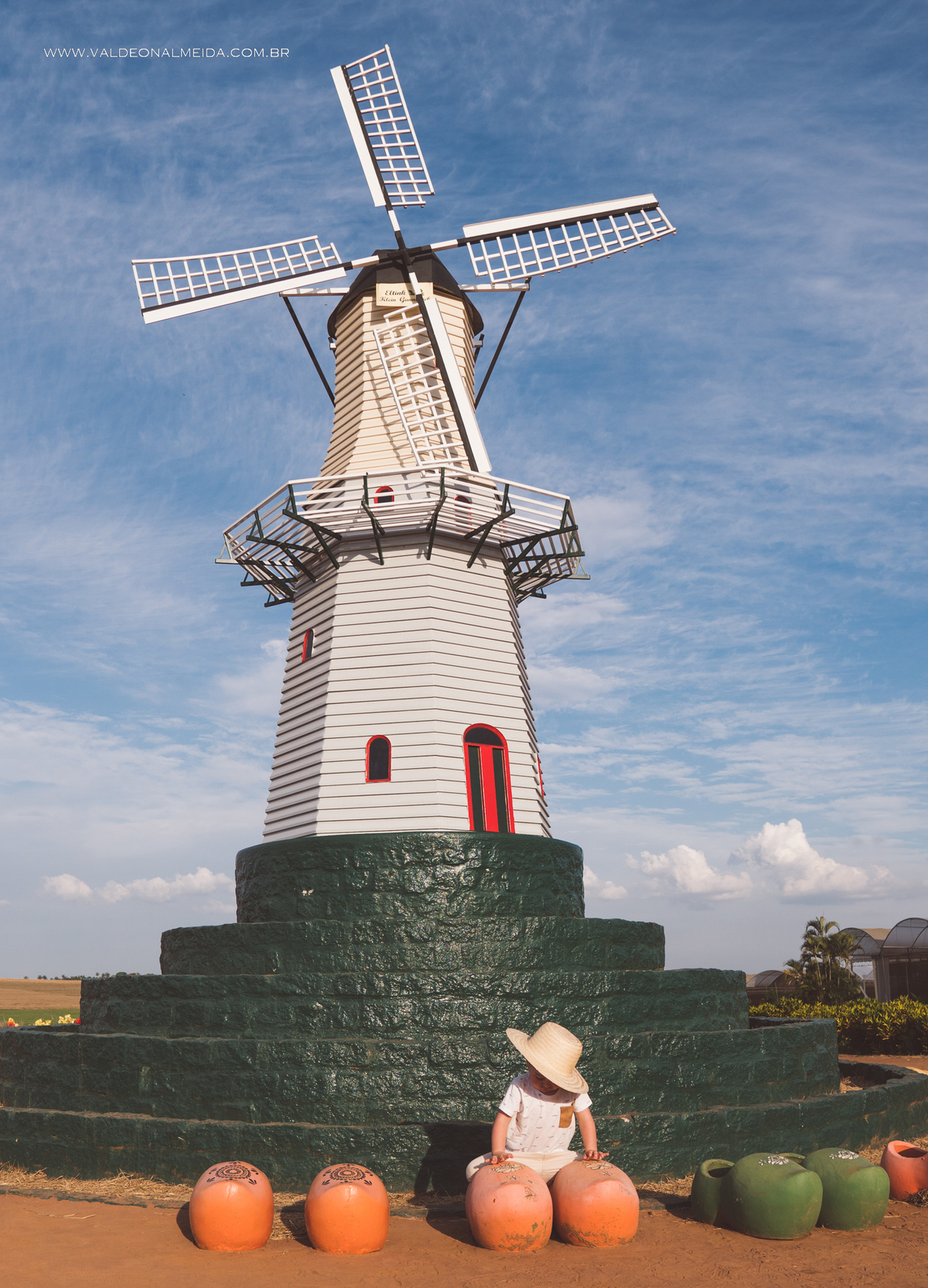 Ensaio de gestante em holambra super divertido com a família, incluindo o filho mais velho, nas plantações de flores