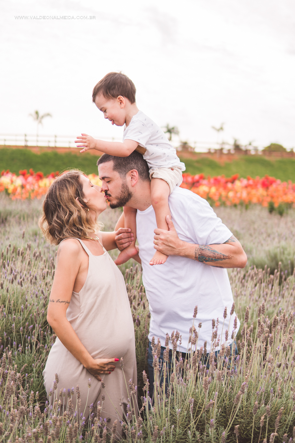 Ensaio de gestante em holambra super divertido com a família, incluindo o filho mais velho, nas plantações de flores