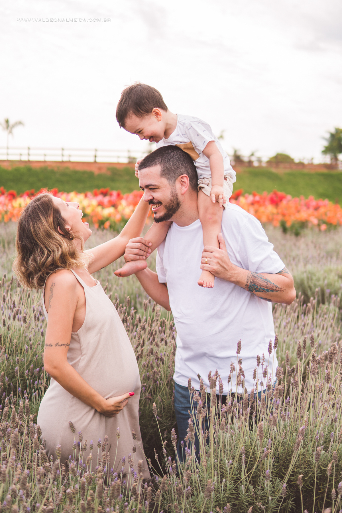 Ensaio de gestante em holambra super divertido com a família, incluindo o filho mais velho, nas plantações de flores