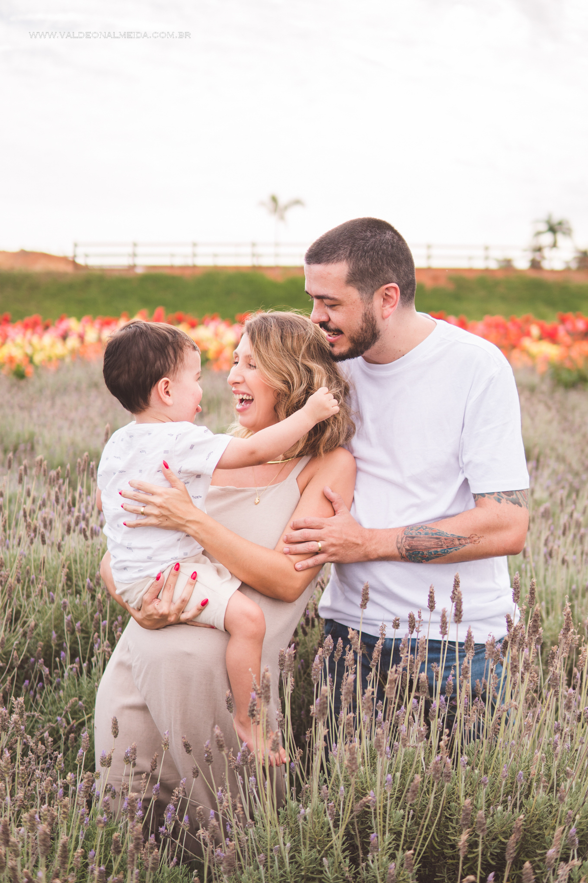 Ensaio de gestante em holambra super divertido com a família, incluindo o filho mais velho, nas plantações de flores
