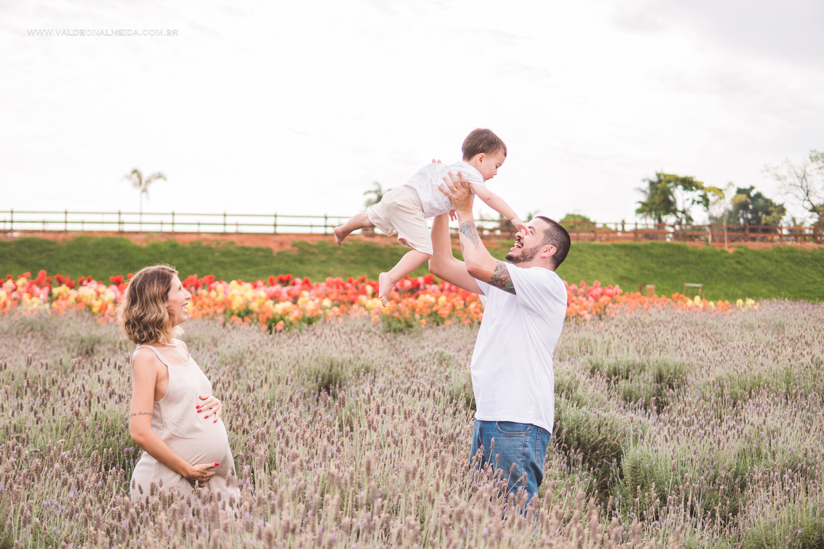 Ensaio de gestante em holambra super divertido com a família, incluindo o filho mais velho, nas plantações de flores