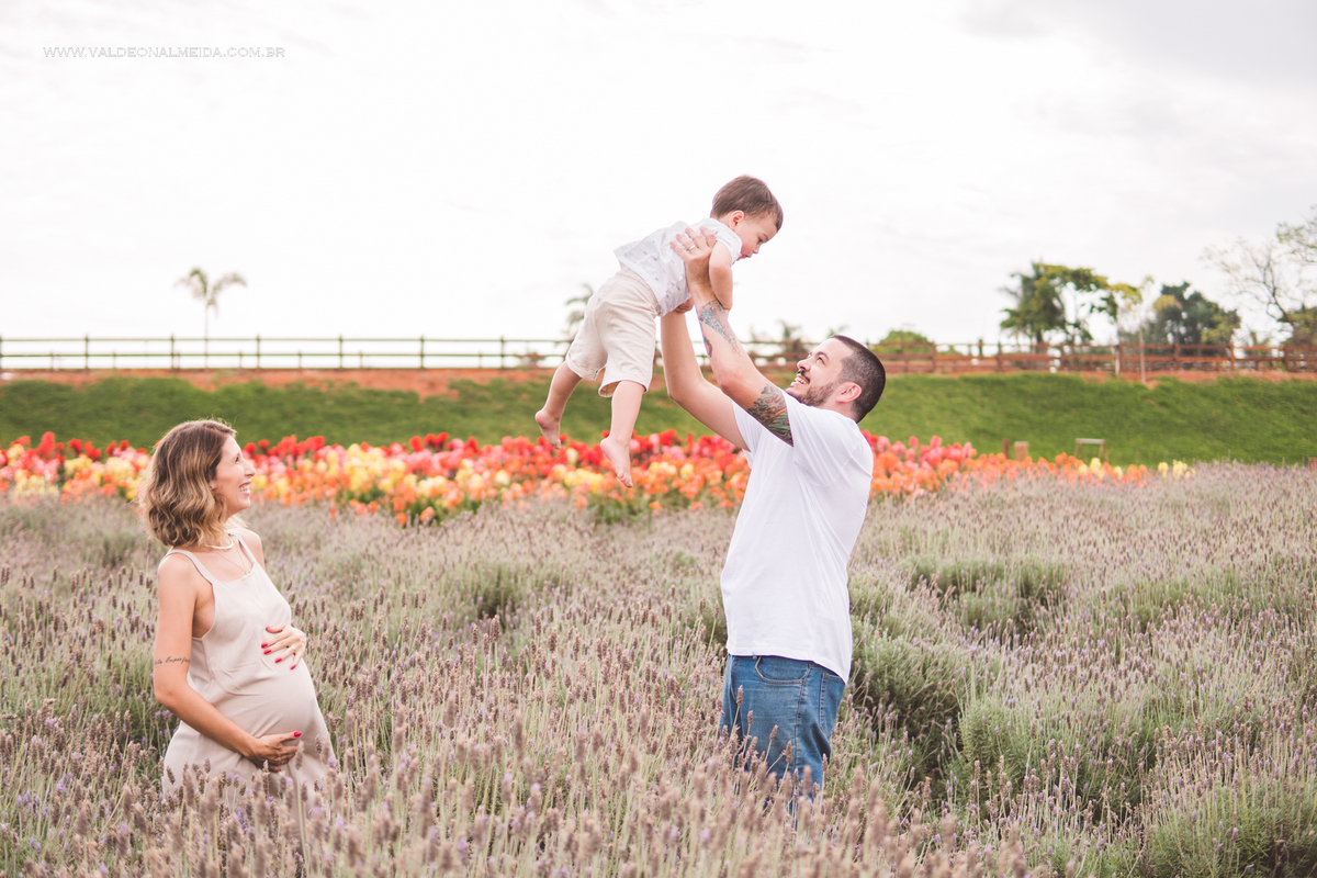 Ensaio de gestante em holambra super divertido com a família, incluindo o filho mais velho, nas plantações de flores