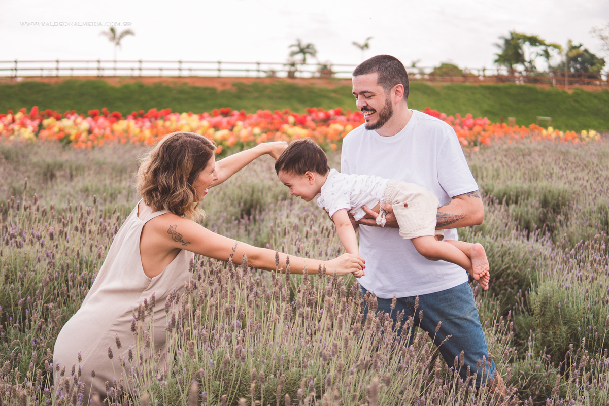 Ensaio de gestante em holambra super divertido com a família, incluindo o filho mais velho, nas plantações de flores