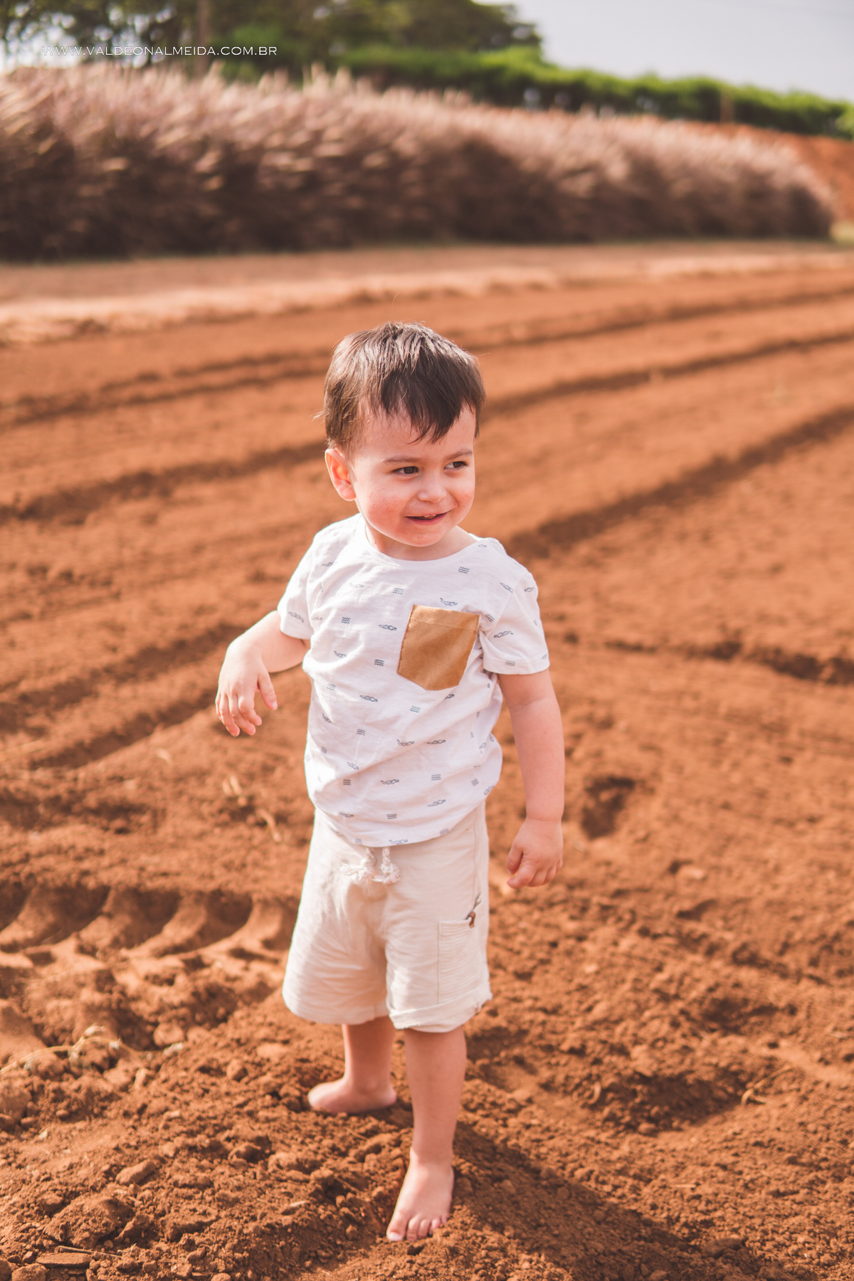 Ensaio de gestante em holambra super divertido com a família, incluindo o filho mais velho, nas plantações de flores
