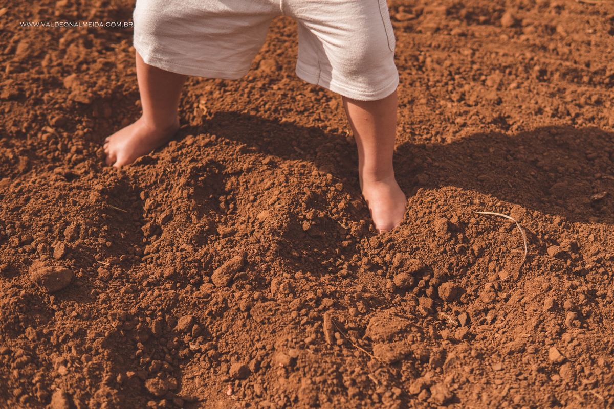 Ensaio de gestante em holambra super divertido com a família, incluindo o filho mais velho, nas plantações de flores