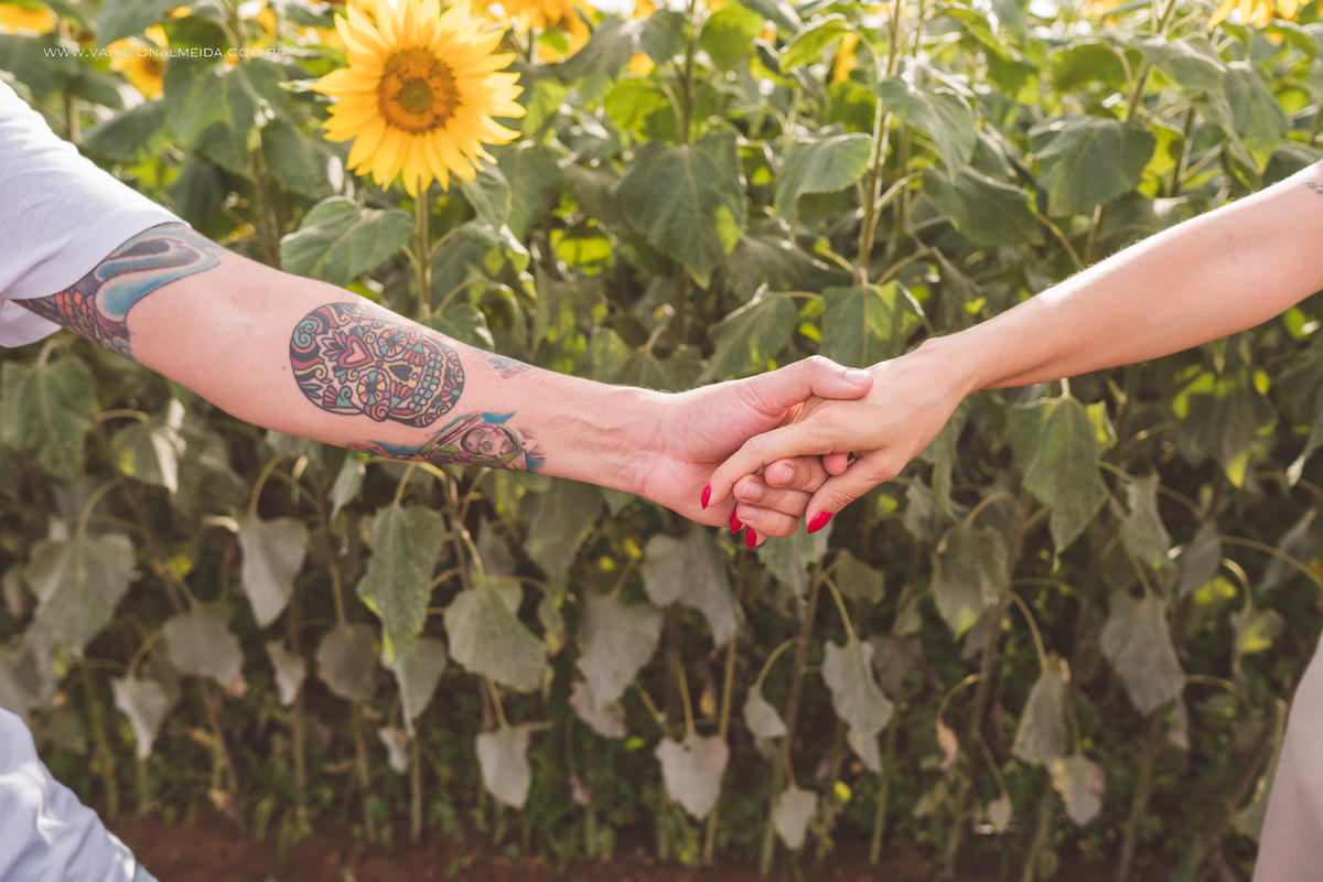 Ensaio de gestante em holambra super divertido com a família, incluindo o filho mais velho, nas plantações de flores