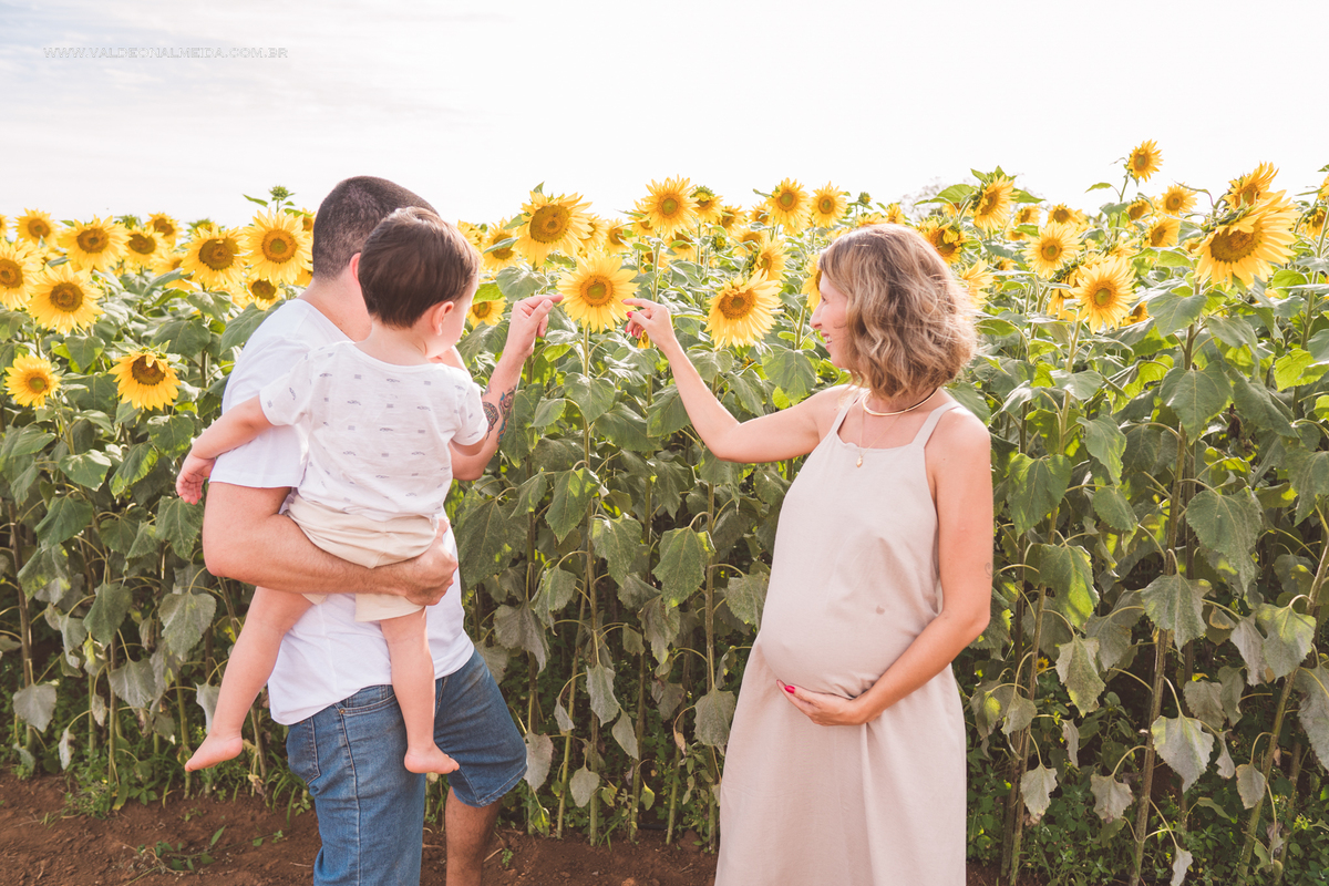 Ensaio de gestante em holambra super divertido com a família, incluindo o filho mais velho, nas plantações de flores