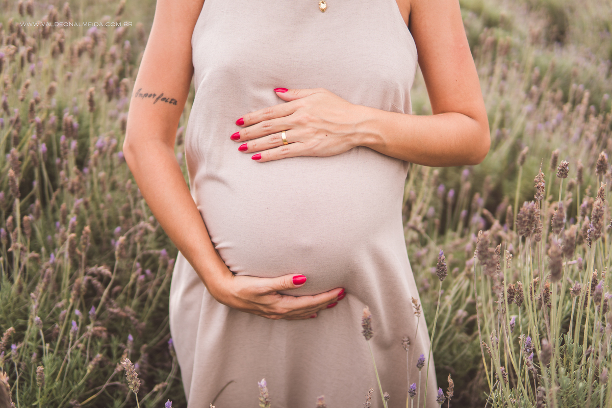 Ensaio de gestante em holambra super divertido com a família, incluindo o filho mais velho, nas plantações de flores