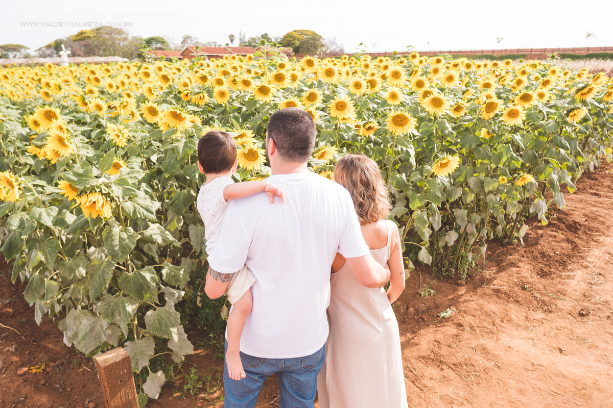 Ensaio de gestante em holambra super divertido com a família, incluindo o filho mais velho, nas plantações de flores