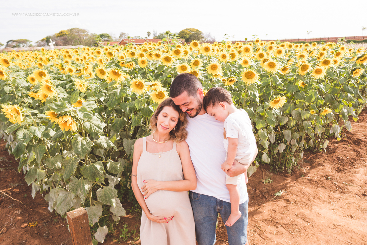 Ensaio de gestante em holambra super divertido com a família, incluindo o filho mais velho, nas plantações de flores