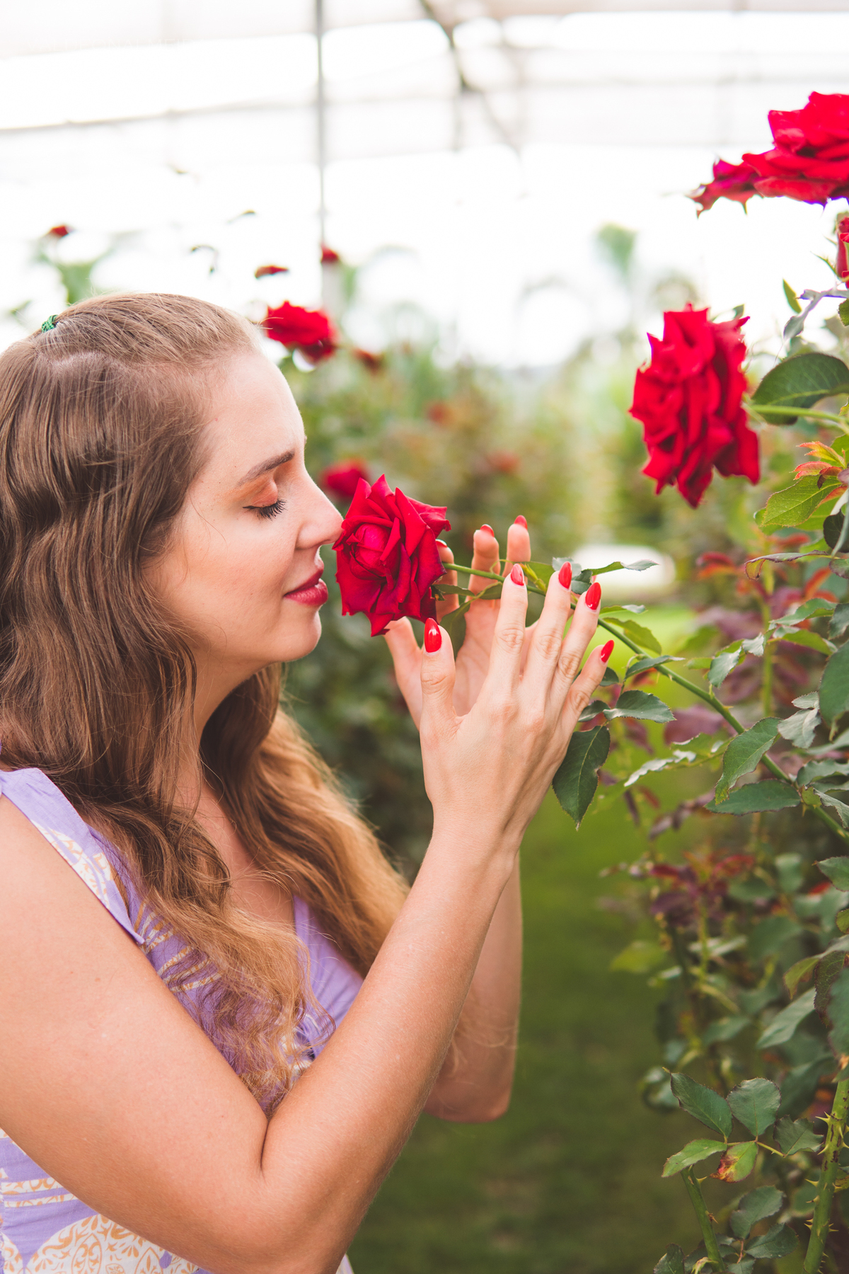 Ensaio fotográfico de Lua de mel em Holambra nos pontos turísticos da cidade e nas plantações de flores