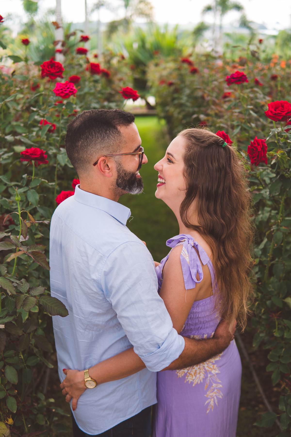 Ensaio fotográfico de Lua de mel em Holambra nos pontos turísticos da cidade e nas plantações de flores