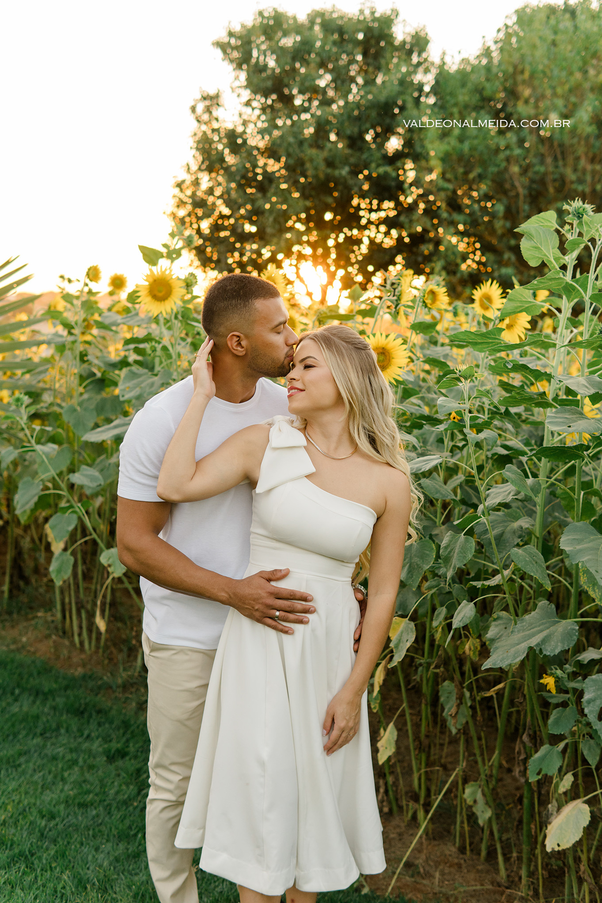 Ensaio fotográfico Pre Wedding do casal Jhenniffer e Oseias nas plantações de girassol no Bloemen Park em Holambra