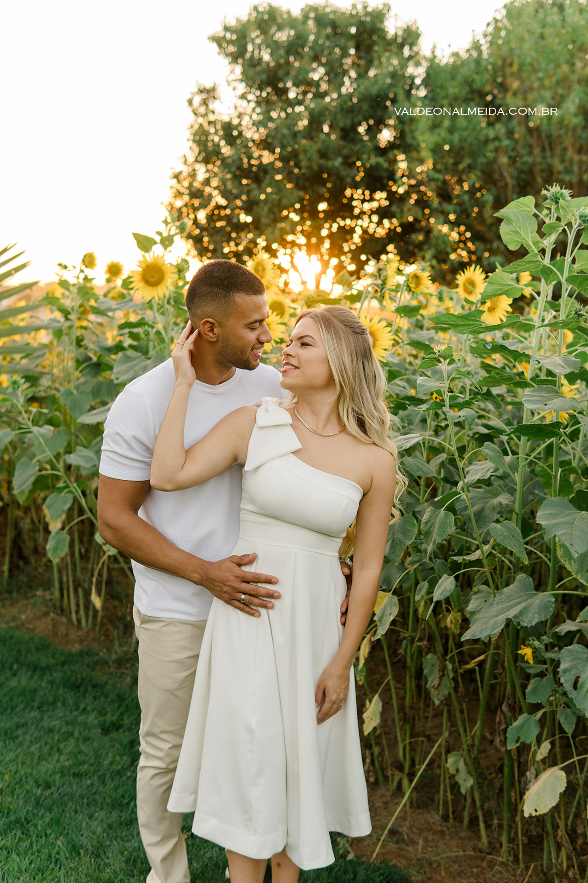Ensaio fotográfico Pre Wedding do casal Jhenniffer e Oseias nas plantações de girassol no Bloemen Park em Holambra