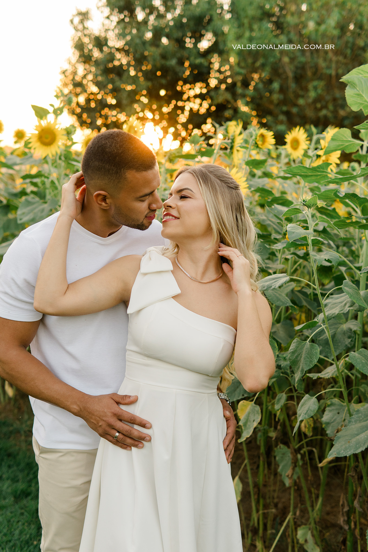 Ensaio fotográfico Pre Wedding do casal Jhenniffer e Oseias nas plantações de girassol no Bloemen Park em Holambra