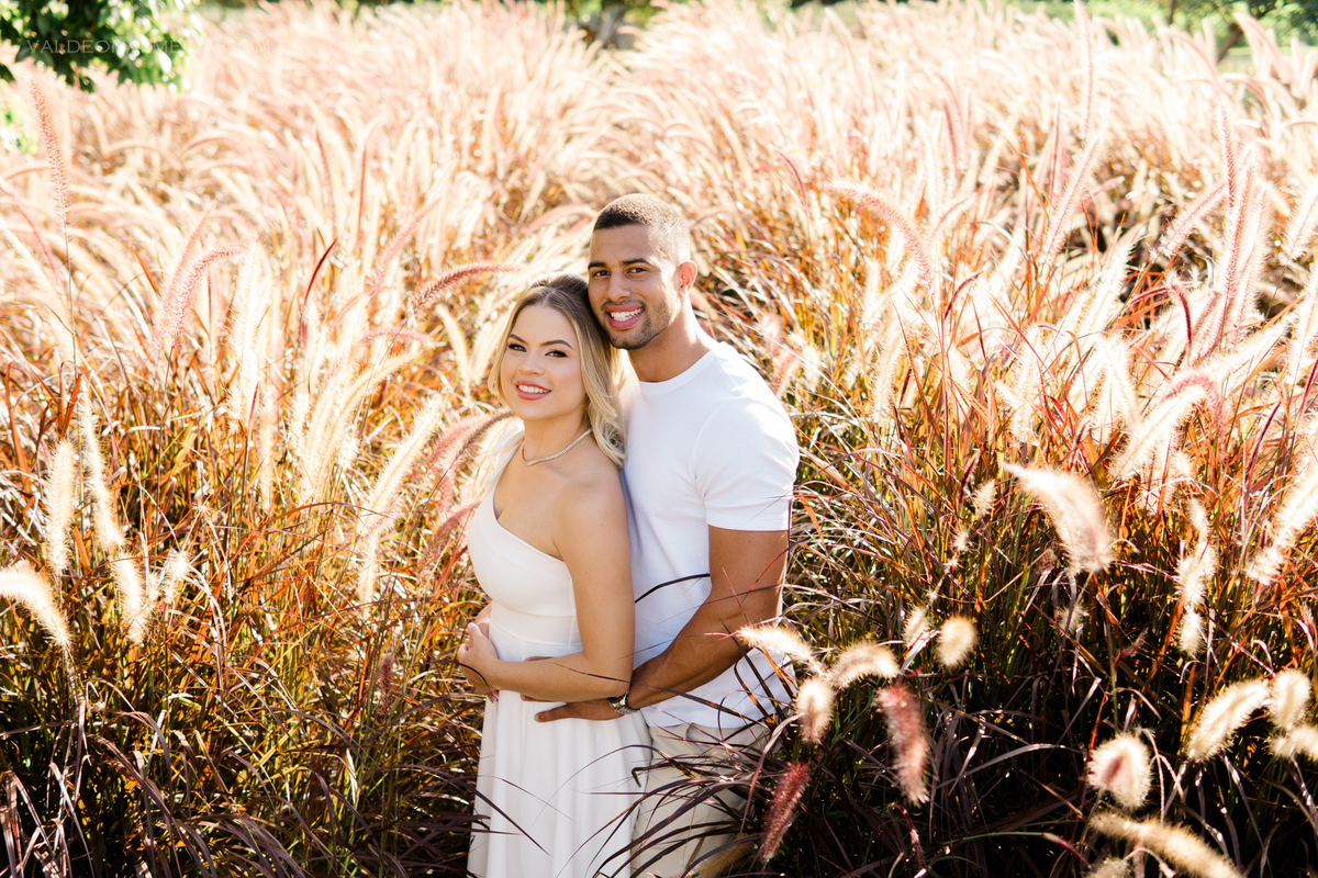 Ensaio fotográfico Pre Wedding do casal Jhenniffer e Oseias no capim do texas no Bloemen Park em Holambra