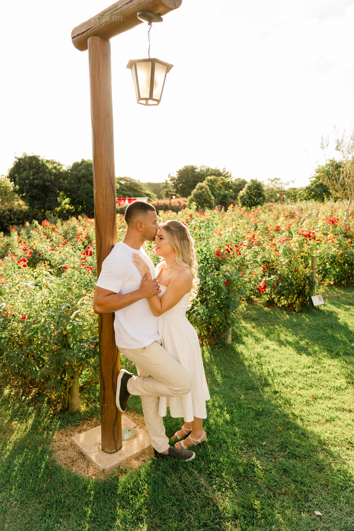 Ensaio fotográfico Pre Wedding do casal Jhenniffer e Oseias nas plantações de rosas no Bloemen Park em Holambra