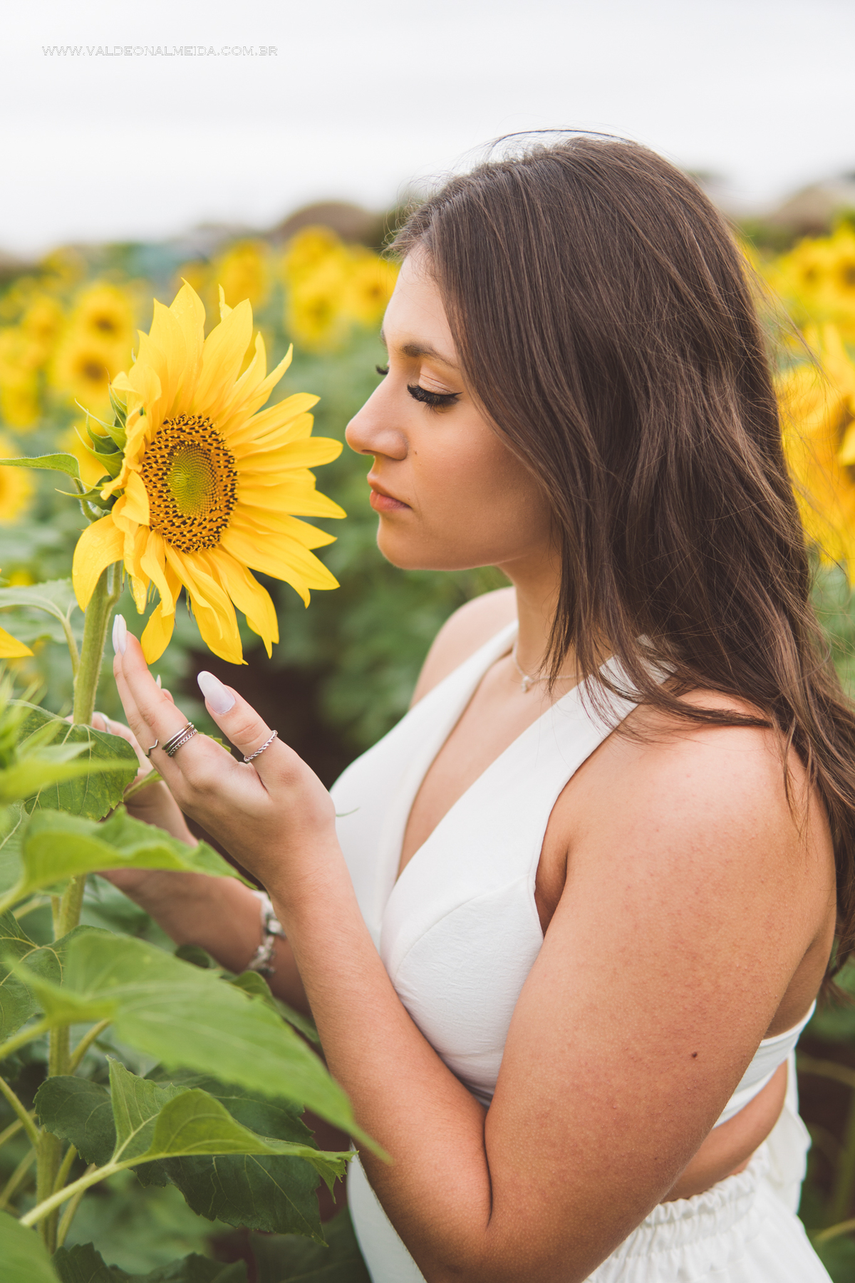 Ensaio fotográfico de 15 anos em Holambra, Macena Flores, com cavalo e nas plantações de girassol e lavanda. Ensaio feminino, ensaio 15 anos country - Beatriz Finotti