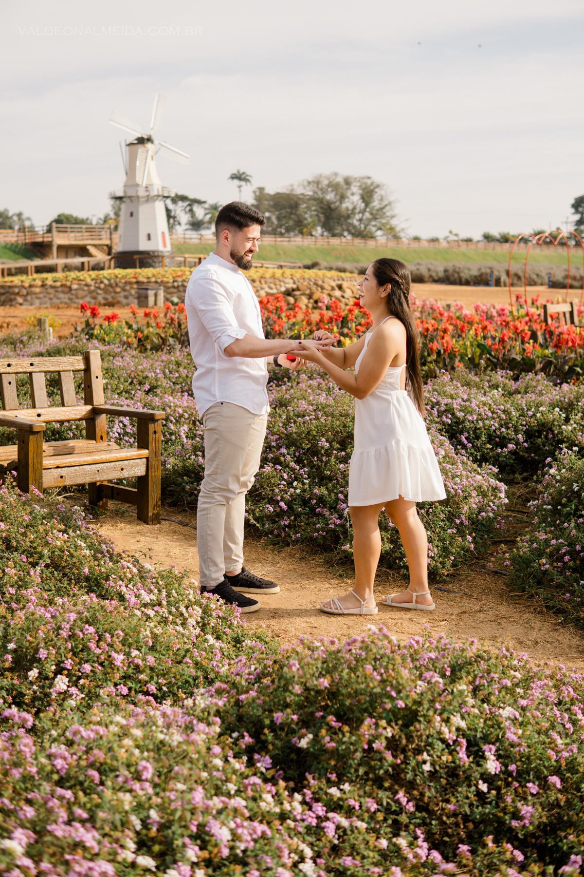 Pedido de casamento surpresa no Macena Flores em Holambra 