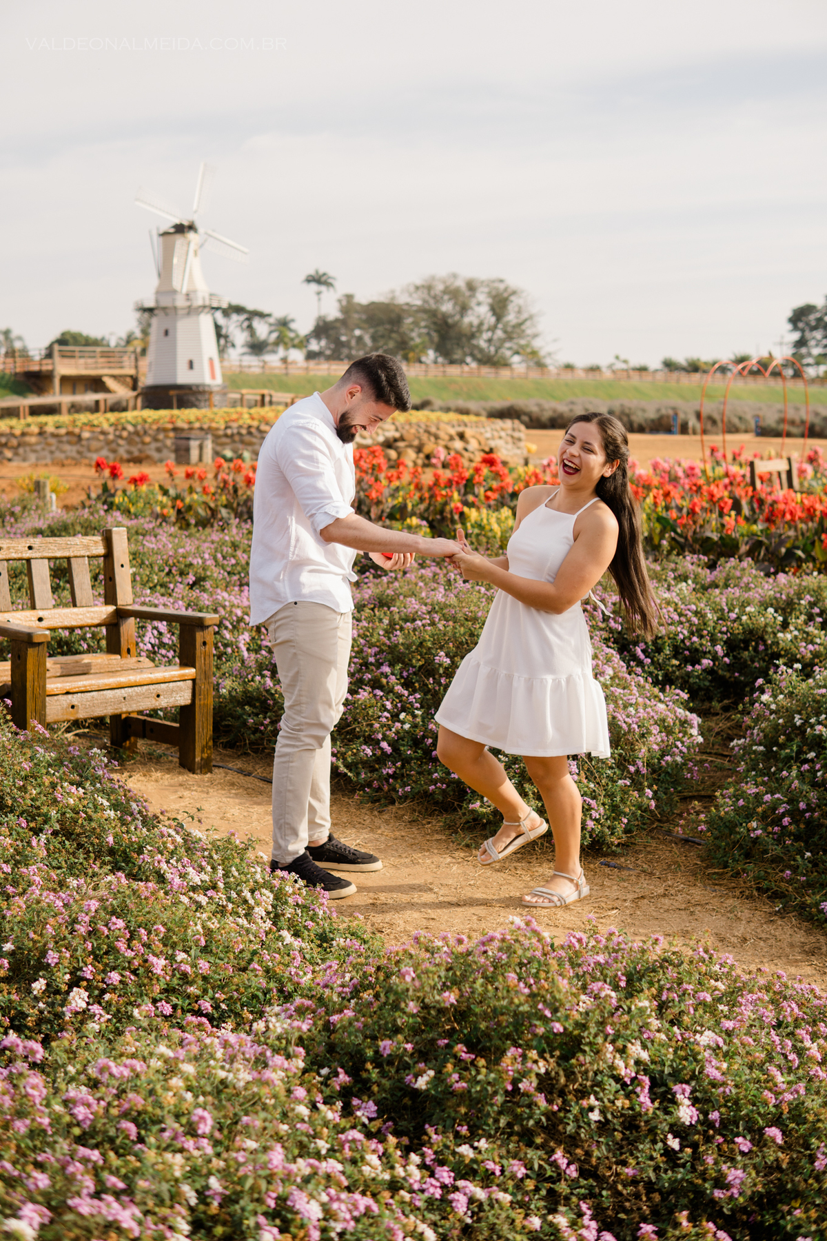 Pedido de casamento surpresa no Macena Flores em Holambra 