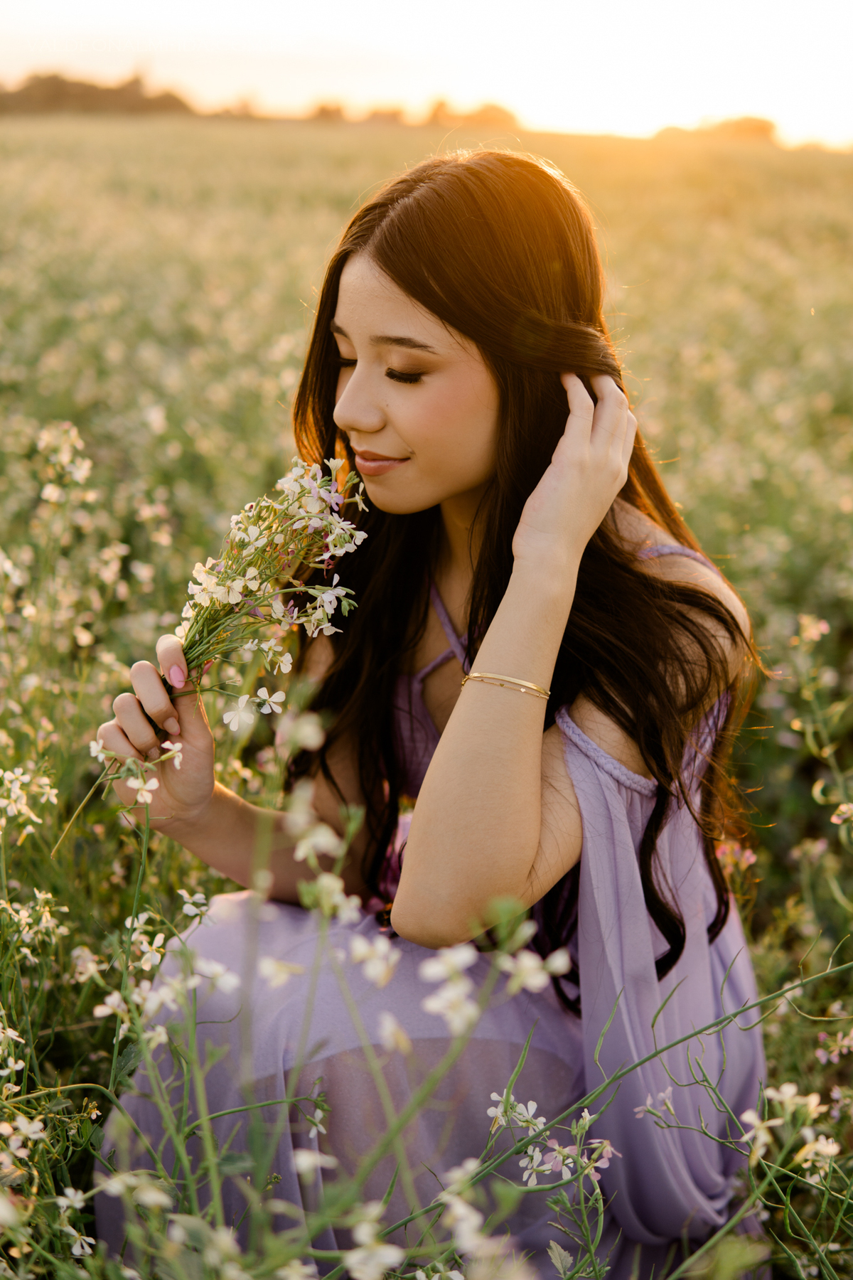 Ensaio fotográfico para celebrar os 15 anos da Mariana em Holambra