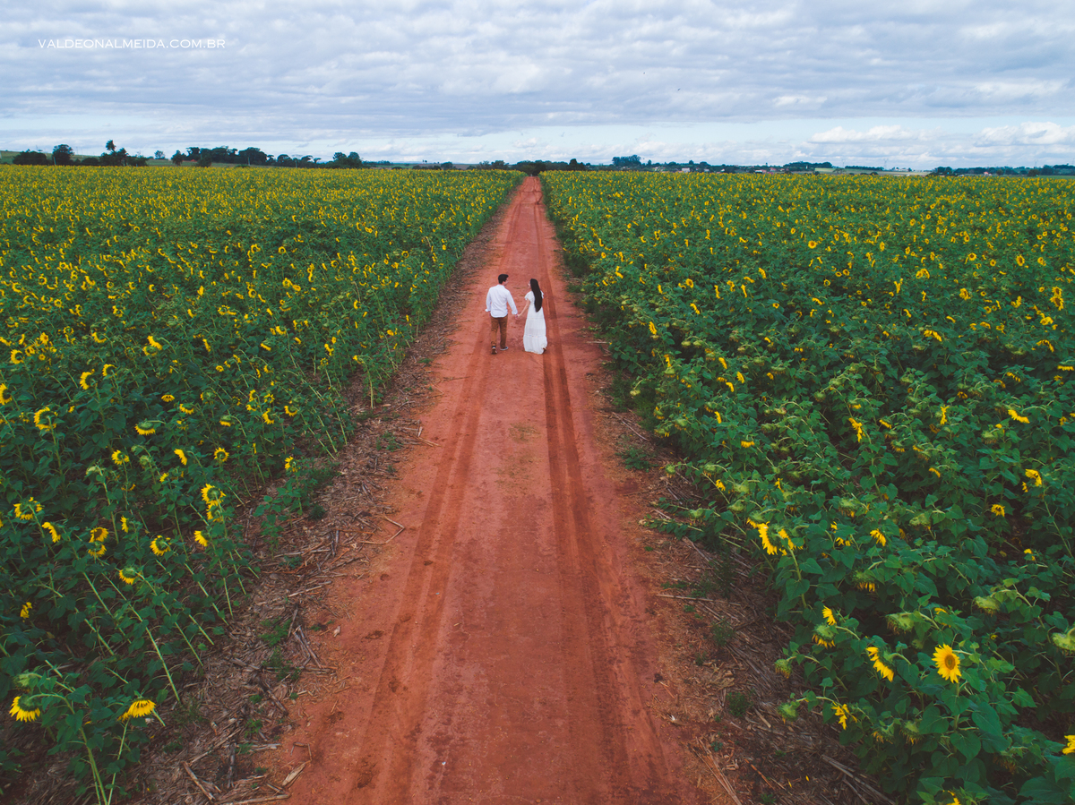 Pedido de casamento surpresa em Holambra - Juliana e Henrique