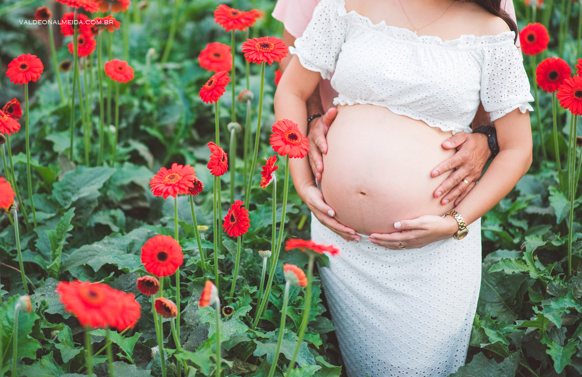 Ensaio de gestante em Holambra - a espera da Helena