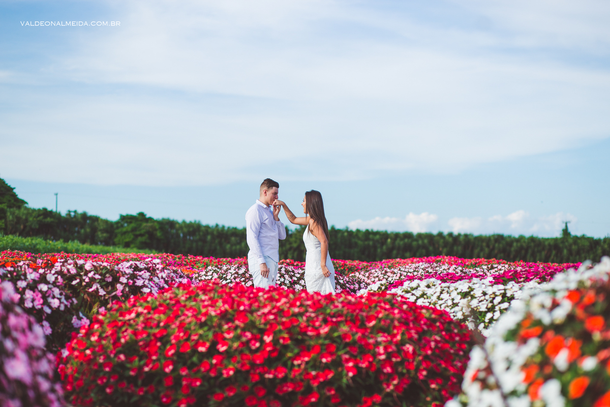 Ensaio Pre Wedding Paula Cavilha e Guilherme em Holambra