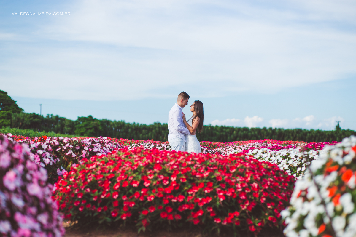 Ensaio Pre Wedding Paula Cavilha e Guilherme em Holambra