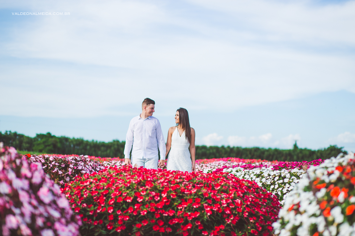 Ensaio Pre Wedding Paula Cavilha e Guilherme em Holambra