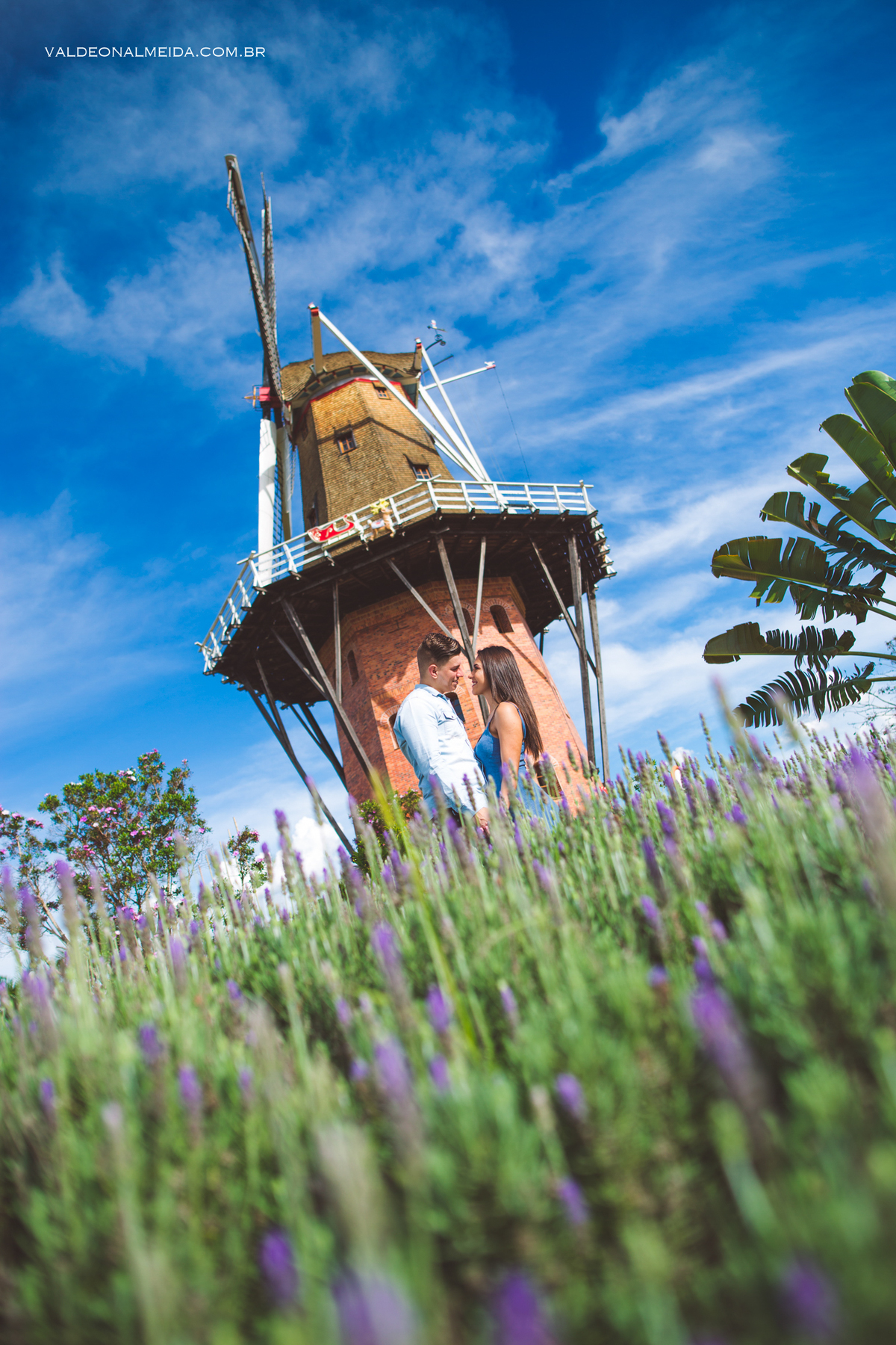 Ensaio Pre Wedding Paula Cavilha e Guilherme em Holambra