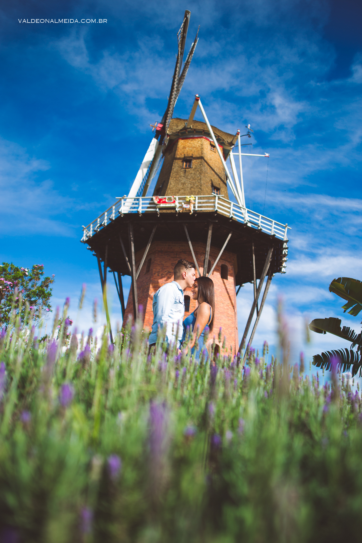 Ensaio Pre Wedding Paula Cavilha e Guilherme em Holambra