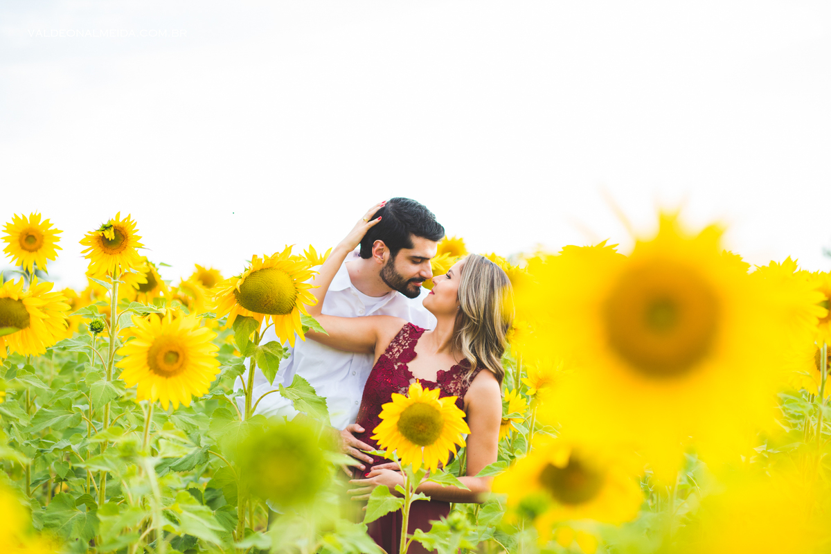 Ensaio Pre Wedding Luiza e Lucas na plantação de girassol em Holambra