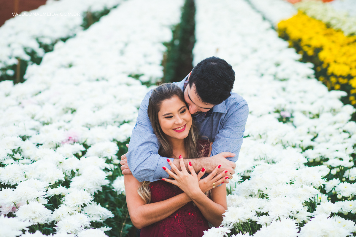 Ensaio Pre Wedding Luiza e Lucas na plantação de crisântemos em Holambra