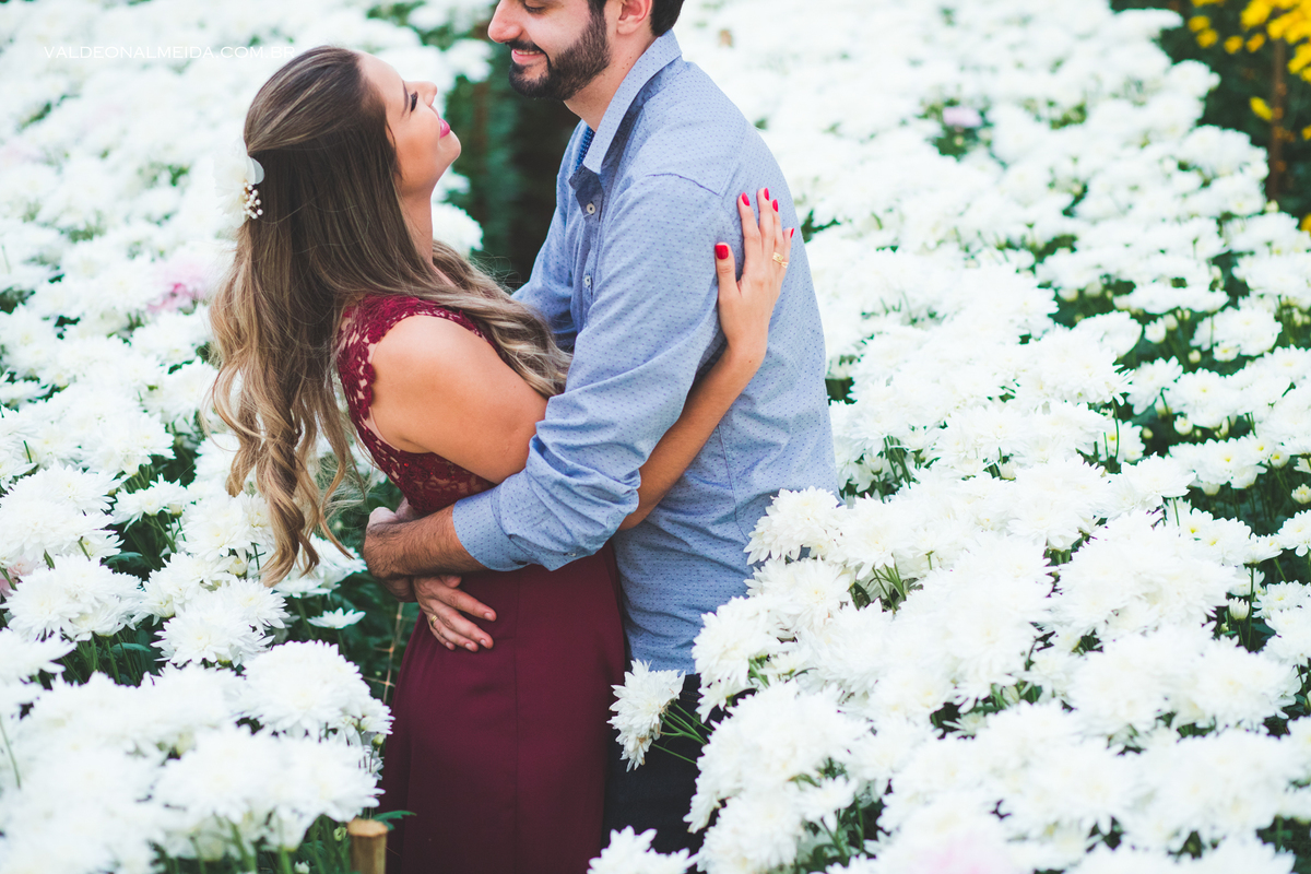 Ensaio Pre Wedding Luiza e Lucas na plantação de crisântemos em Holambra