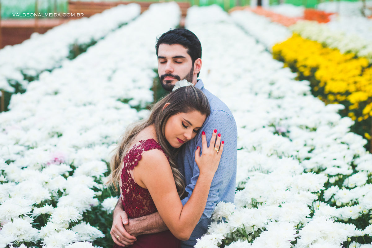 Ensaio Pre Wedding Luiza e Lucas na plantação de crisântemos em Holambra