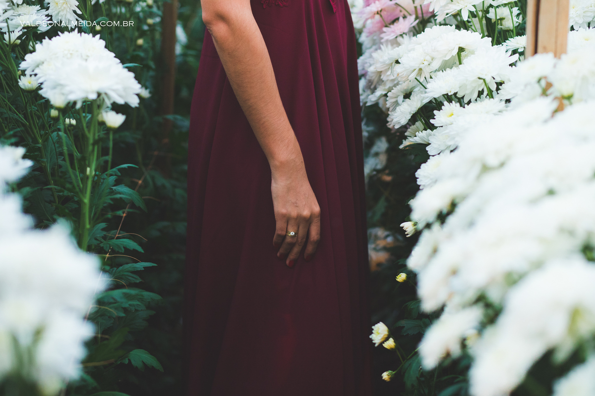 Ensaio Pre Wedding Luiza e Lucas na plantação de crisântemos em Holambra