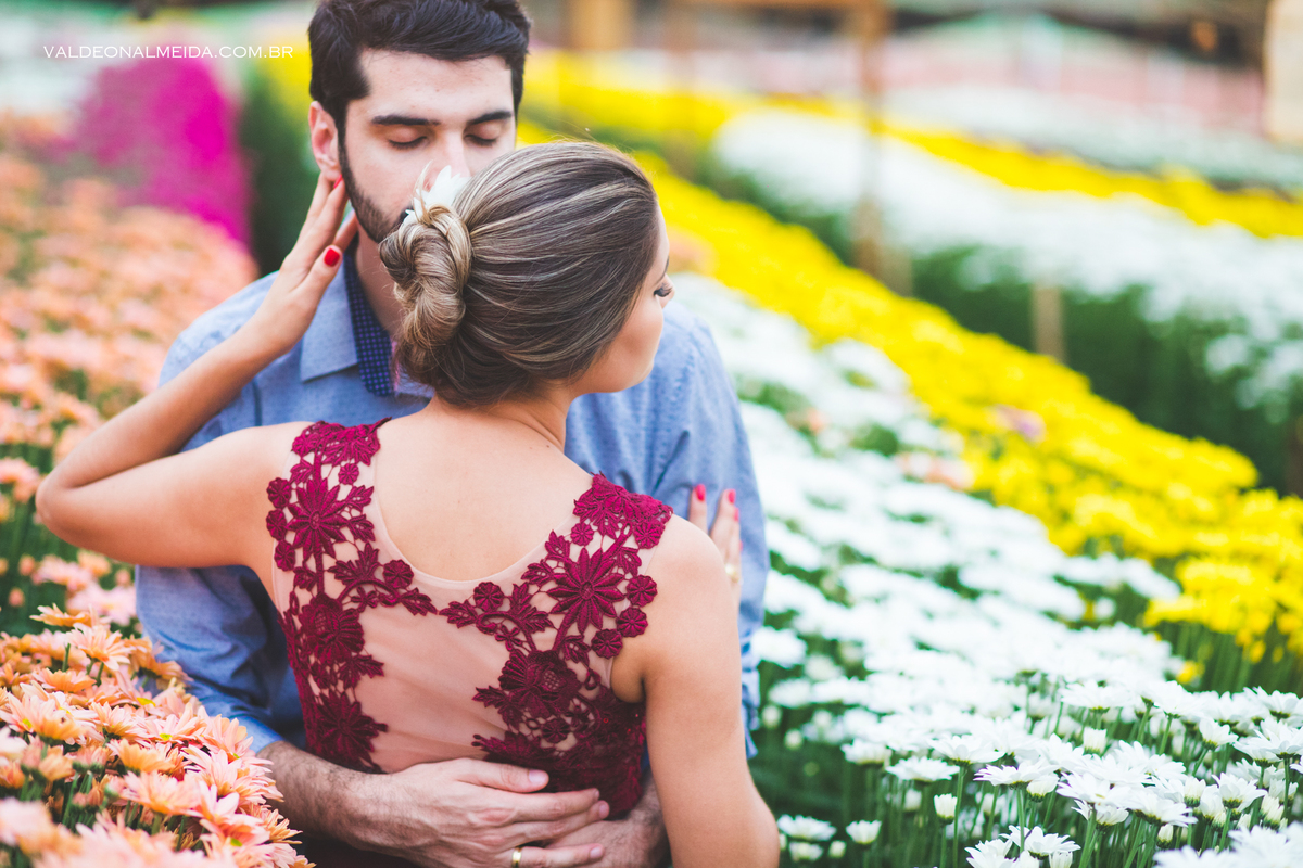 Ensaio Pre Wedding Luiza e Lucas na plantação de crisântemos em Holambra