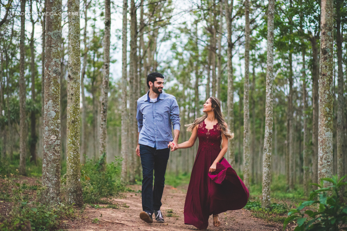 Ensaio Pre Wedding Luiza e Lucas nos cedros em Holambra