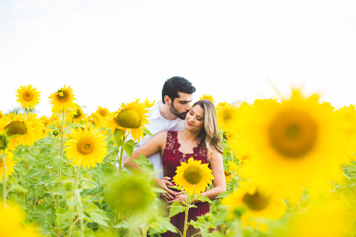 Ensaio Pre Wedding Luiza e Lucas na plantação de girassol em Holambra
