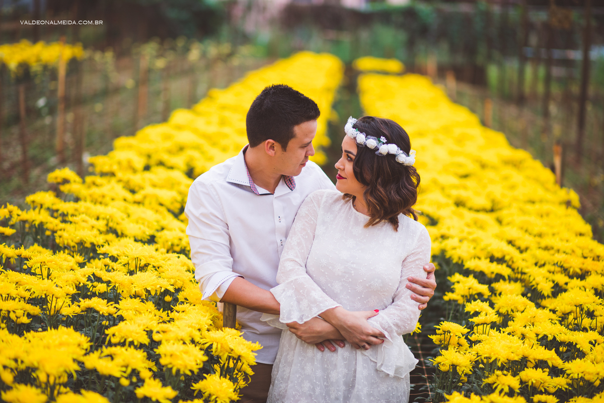 Ensaio Pre Wedding Estela e José em Holambra