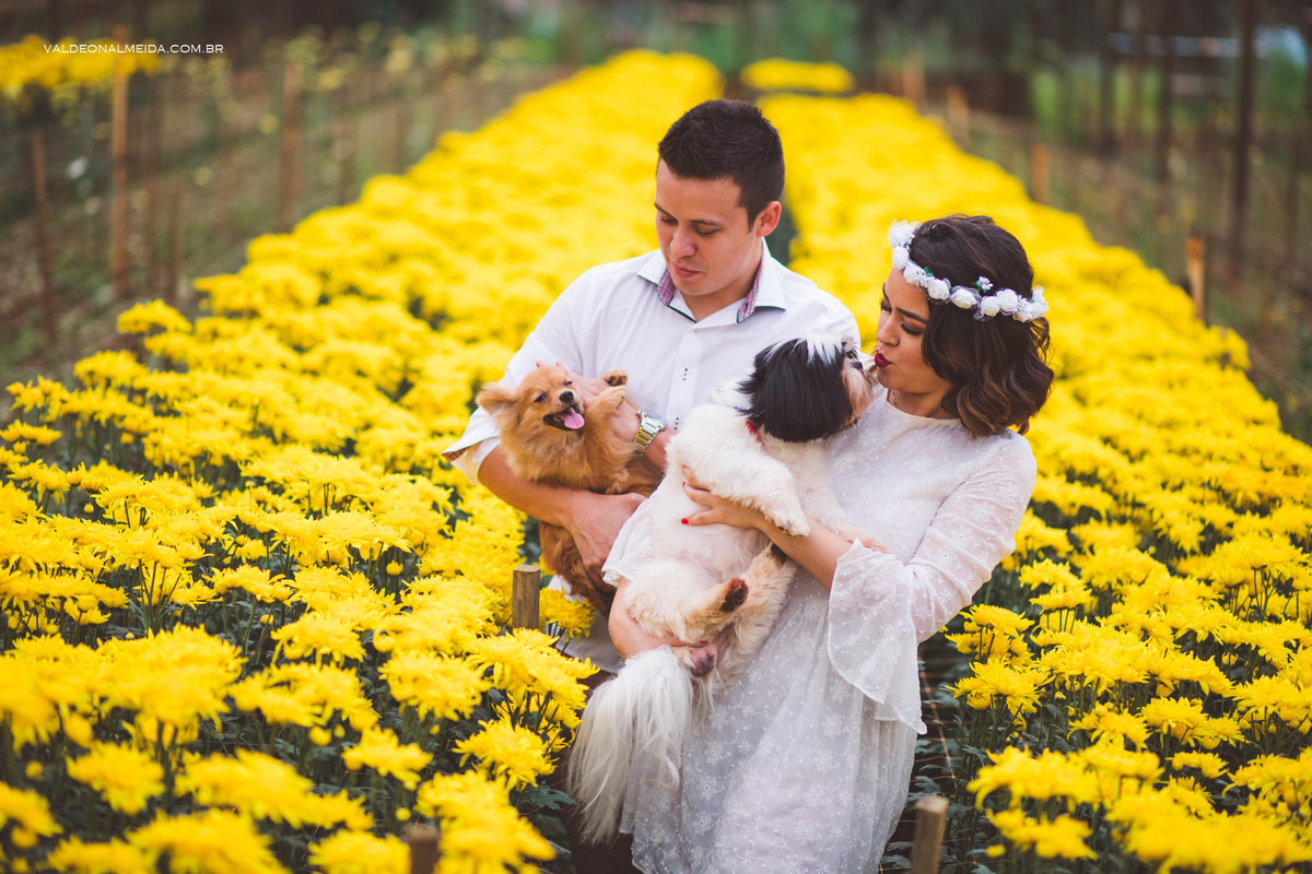 Ensaio Pre Wedding Estela e José em Holambra
