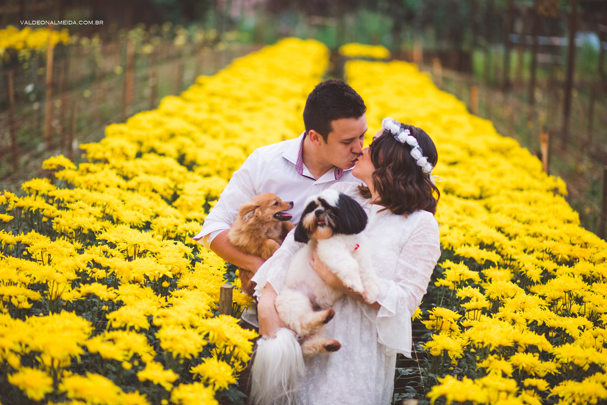Ensaio Pre Wedding Estela e José em Holambra