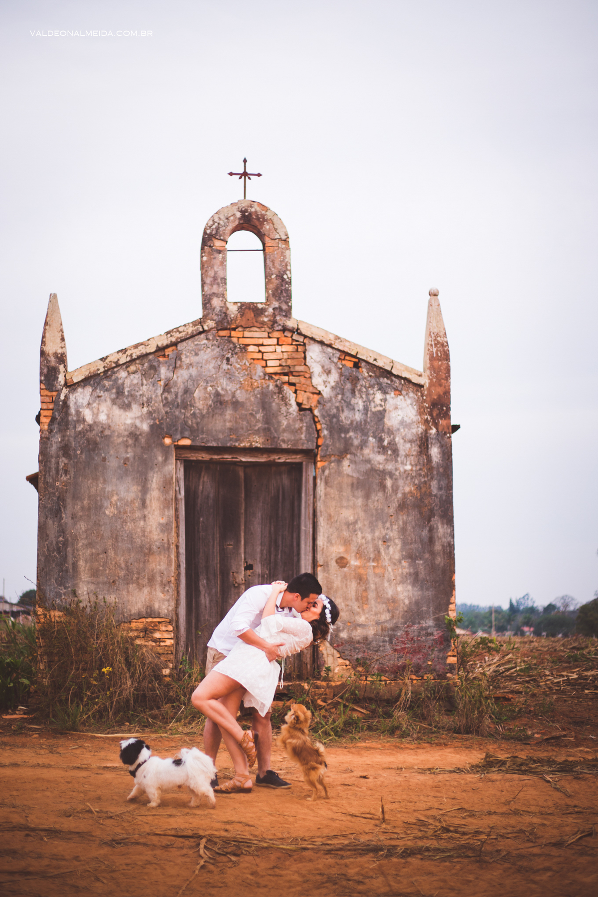 Ensaio Pre Wedding Estela e José em Holambra