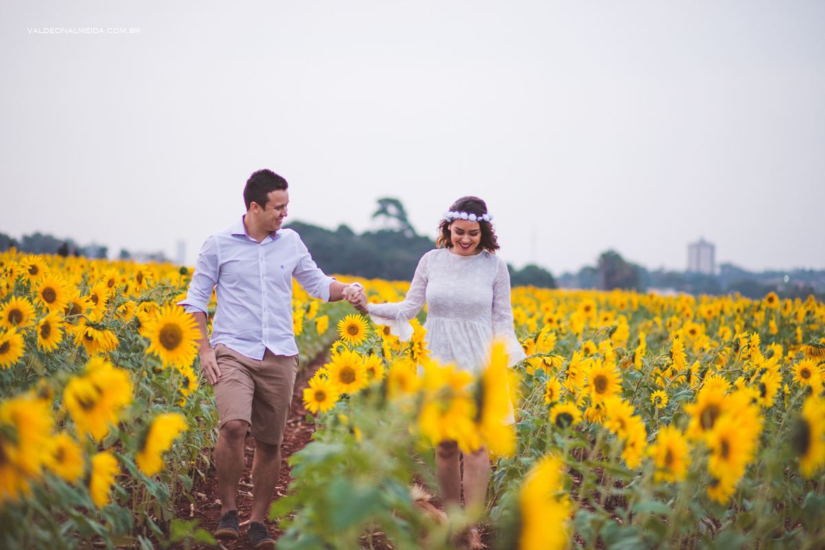 Ensaio Pre Wedding Estela e José em Holambra