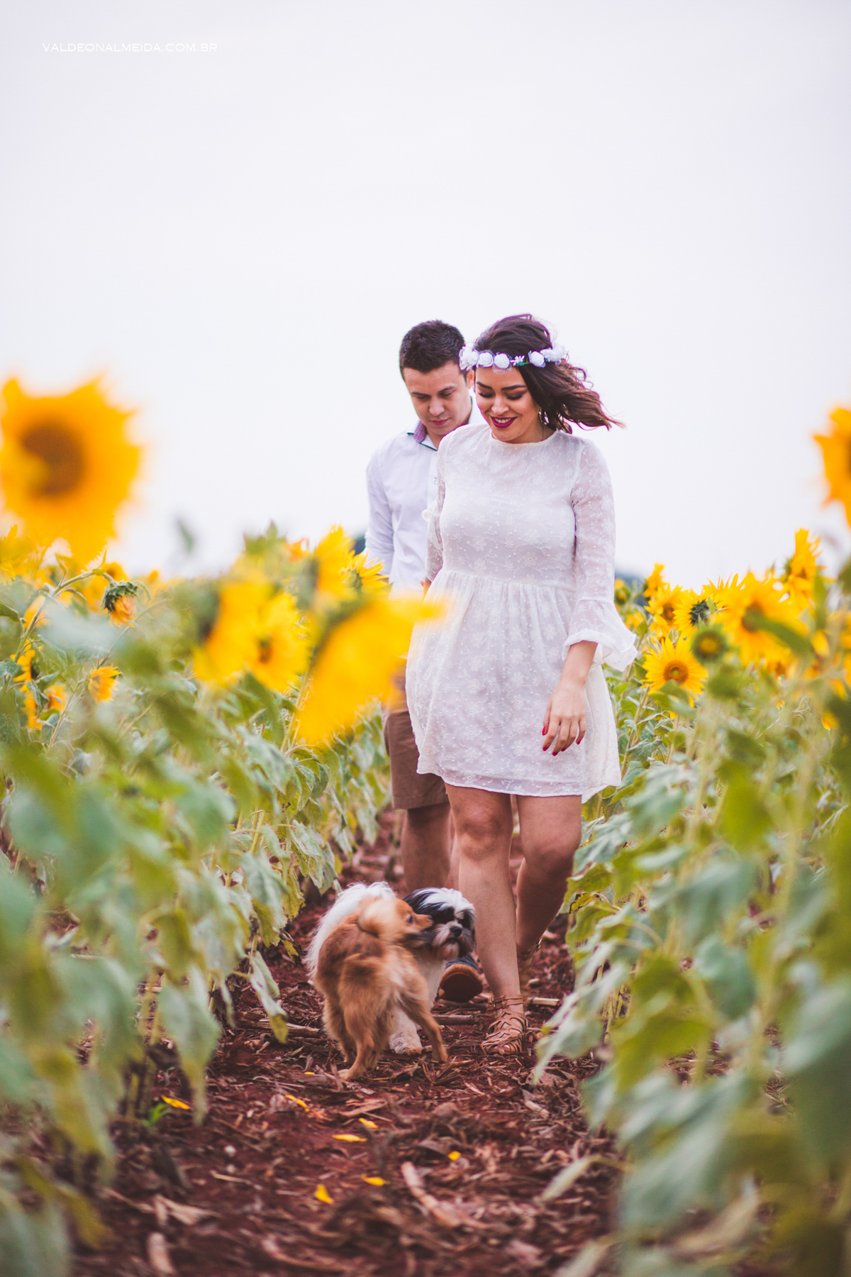 Ensaio Pre Wedding Estela e José em Holambra