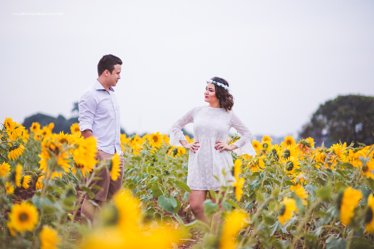 Ensaio Pre Wedding Estela e José em Holambra